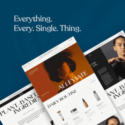 Build Wordpress website Pro for your Business