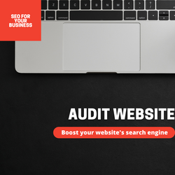 Audit website
