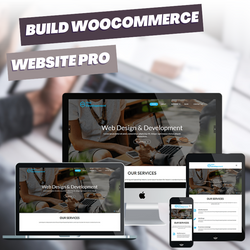 Build Woocommerce website Pro for your business